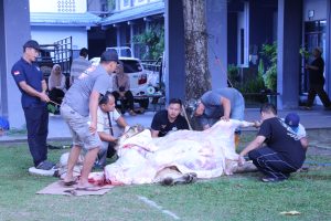 SMK Muhammadiyah 1 Moyudan Laksanakan Penyembelihan Hewan Qurban dan Pererat Kebersamaan Warga Sekolah